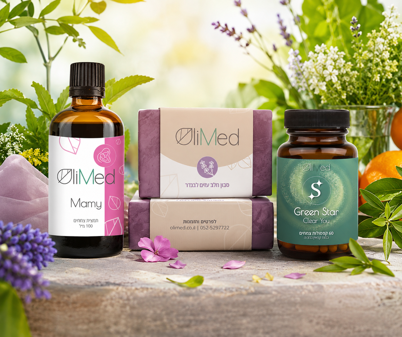 OliMed 6