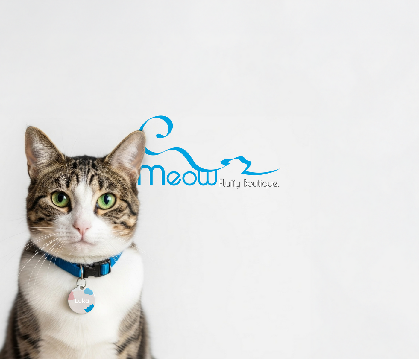 Meow cat